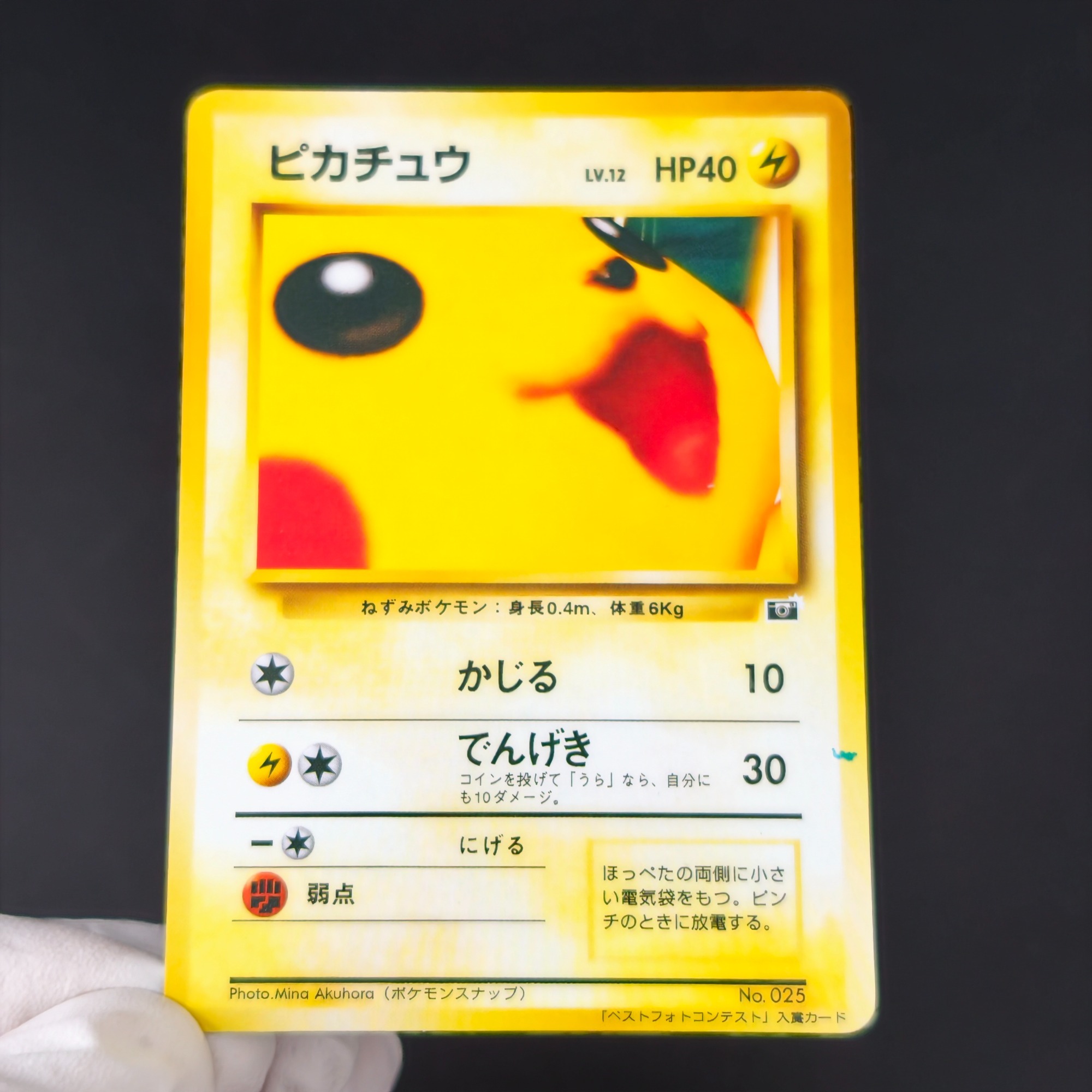 Vintage Pokemon Collectible - 10PCS Pokemon Vintage Jongen Bulbasaur Charmander